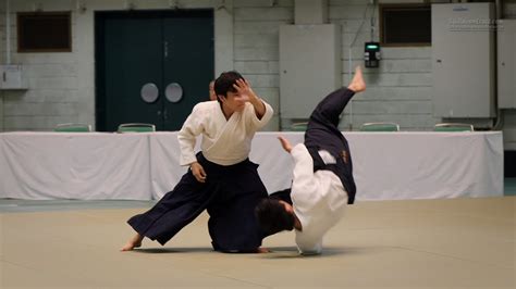 aikido videos